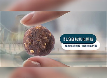 <合作專案> 配樂&音效設計!寵物飼料品牌《Blue Buffalo 藍摯》廣告音樂